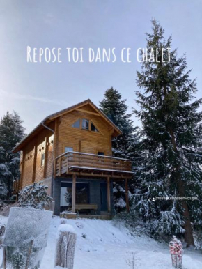 Chalet chaleureux avec Cheminée et vue montagne proche Gerardmer 